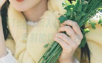 51cgfun入口导航：带你直通最有料的吃瓜平台