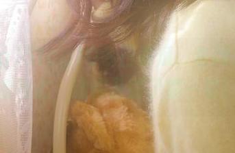 51cg10今日吃瓜，官网汇聚最新动态，助你及时了解一切！