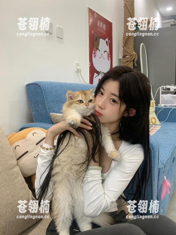 安卓用户最爱的51在线吃瓜，趣味不停歇