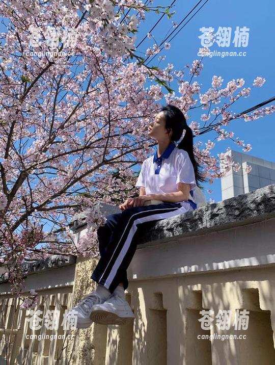 718.st换哪了？永久入口在哪里？带你轻松吃瓜看热闹！