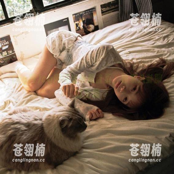 cg网网址导航首页，独家八卦即时呈现