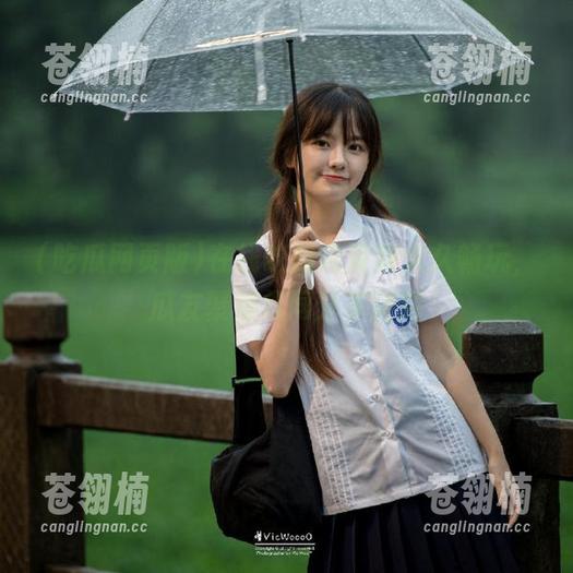 在线吃瓜网页版永久畅玩,瓜友聚集共同分享精彩 在线吃瓜网页版永久畅玩,瓜友聚集共同分享精彩