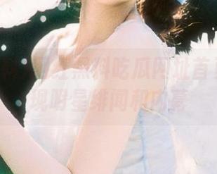 网红黑料吃瓜网址首页全面呈现明星绯闻和内幕