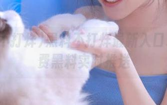 黑料不打烊最新入口永久免费黑料实时推送