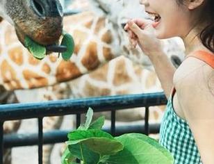 黑料不打烊下载传送门上线，精彩黑料吃瓜不停打烊