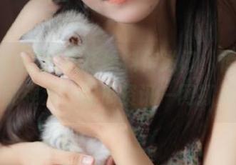依托黑料传送门，传送门功能强大，吃瓜资讯一网打尽