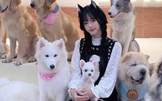 轻松下载黑料正能量fuli8.sk绿仙踪，快速获取爆款吃瓜内容