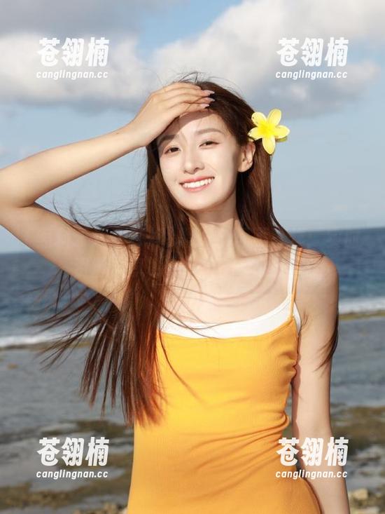 黑料永远不打烊：实时资源共享，明星八卦全网分享