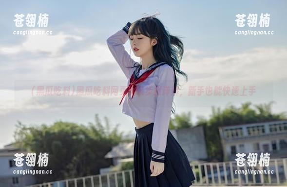 黑瓜吃料网页登录步骤详解，新手也能快速上手